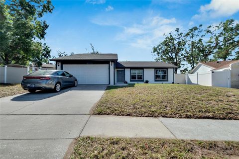 A home in BRANDON