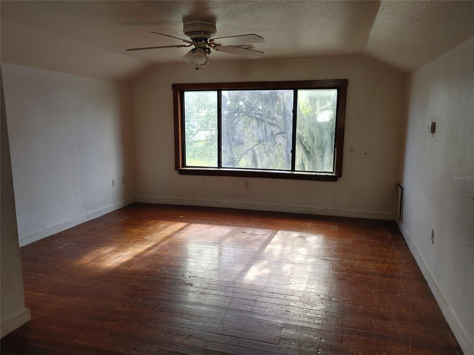 Coleman Ella E Daytona - Residential Income