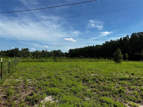 Tiny photo for 7351 NE 106th Terrace, Bronson, FL 32621 (MLS # OM730963)