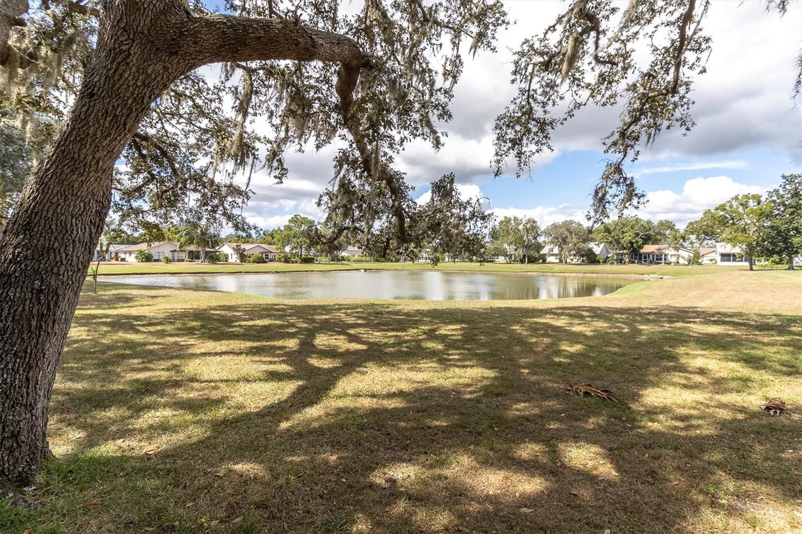 HERITAGE LAKE - Residential