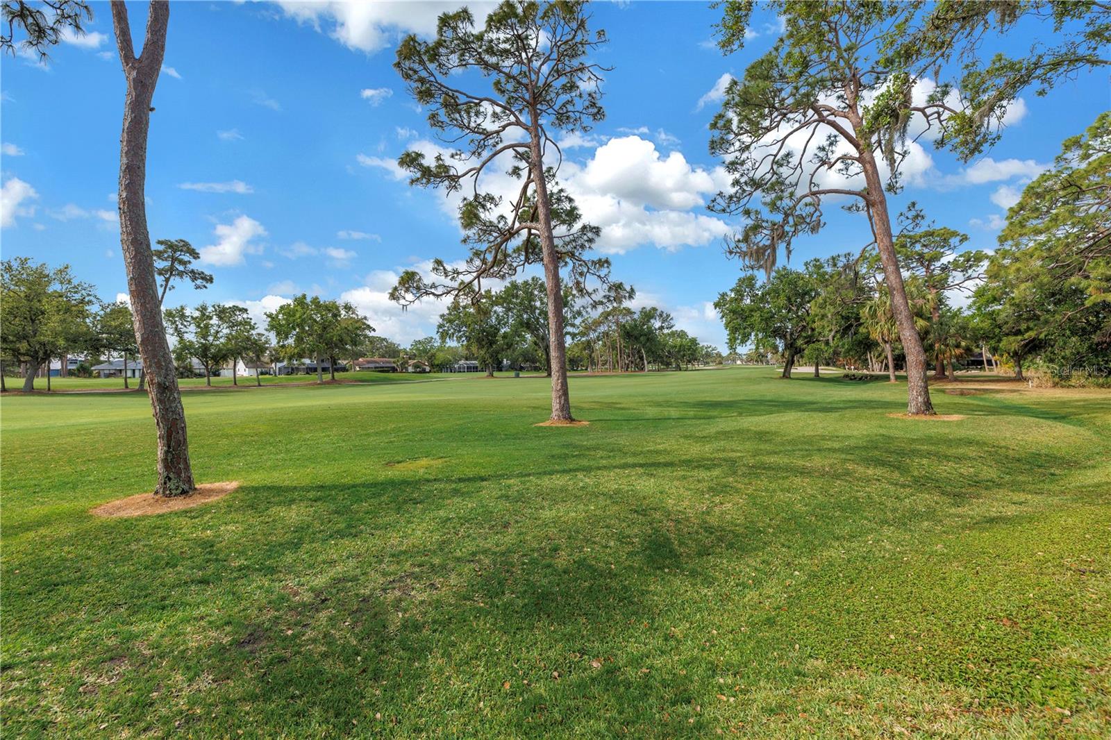 THE GREENS AT EL CONQUISTADOR - Residential Lease