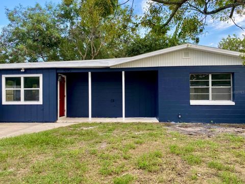 A home in MOUNT DORA