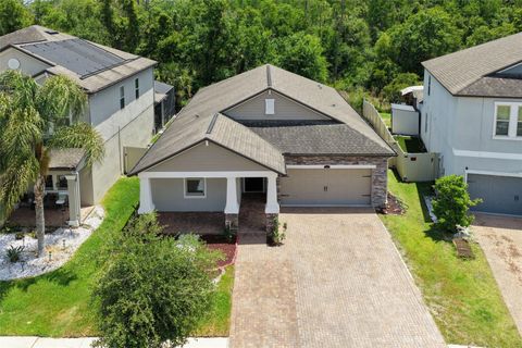 Photo of 6233 English Hollow Road, Tampa, FL 33647 (MLS # TB8493078)