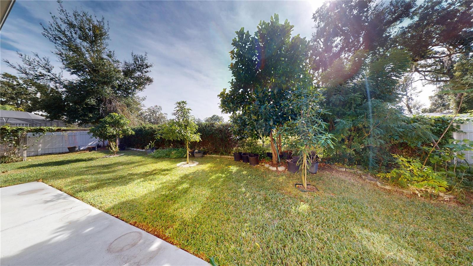 BONTERRA - Residential