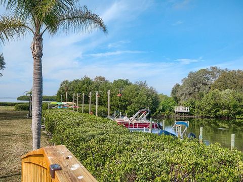 A home in TARPON SPRINGS