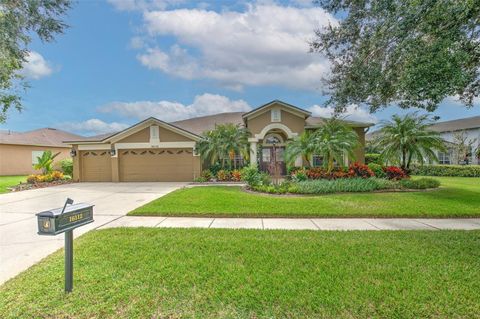 16112 BRIDGEDALE DRIVE LITHIA FL 33547