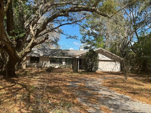 2907 S SKYLINE DRIVE INVERNESS FL 34450