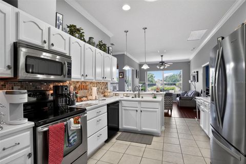 Tiny photo for 24001 Robinwood Street, Leesburg, FL 34748 (MLS # A4693502)