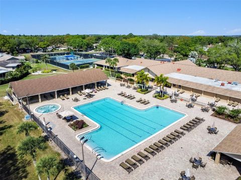 A home in PALM HARBOR