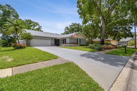 A home in PALM HARBOR