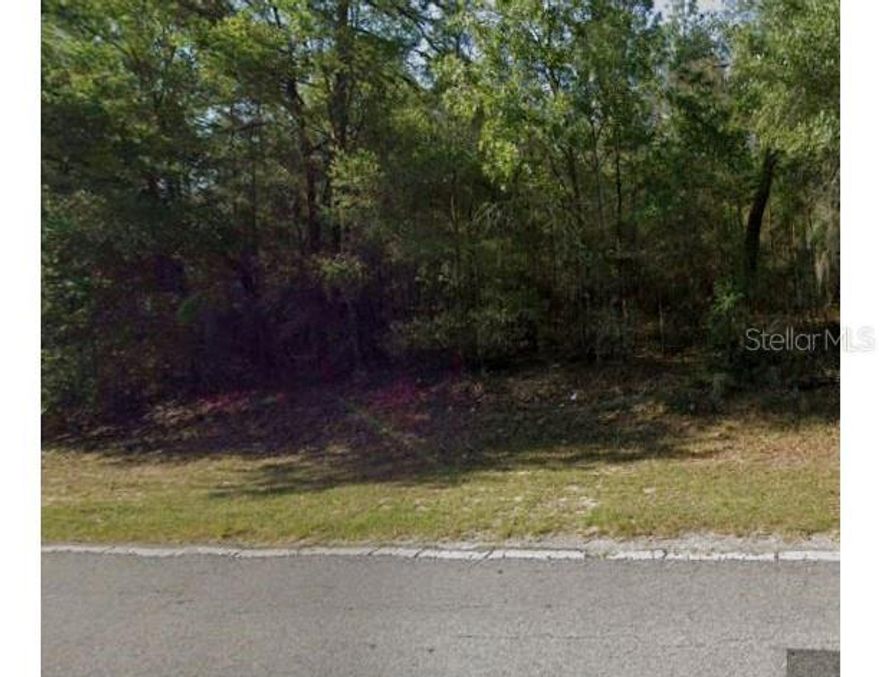 Are you ready? This homesite in Pine Ridge Estates, an equestrian community in beautiful Citrus county, is ready for you luxury home. With miles of walking and horeseback trails, this community has even more to offer. Tennis courts, a dog park, pickleboard, shuffboard are a few of the community offerings. At just over an acre of land, there is plently of room to build and have space to enjoy nature. Make your offer today.
The 1.01 acre adjacent lot is also available for purchase.