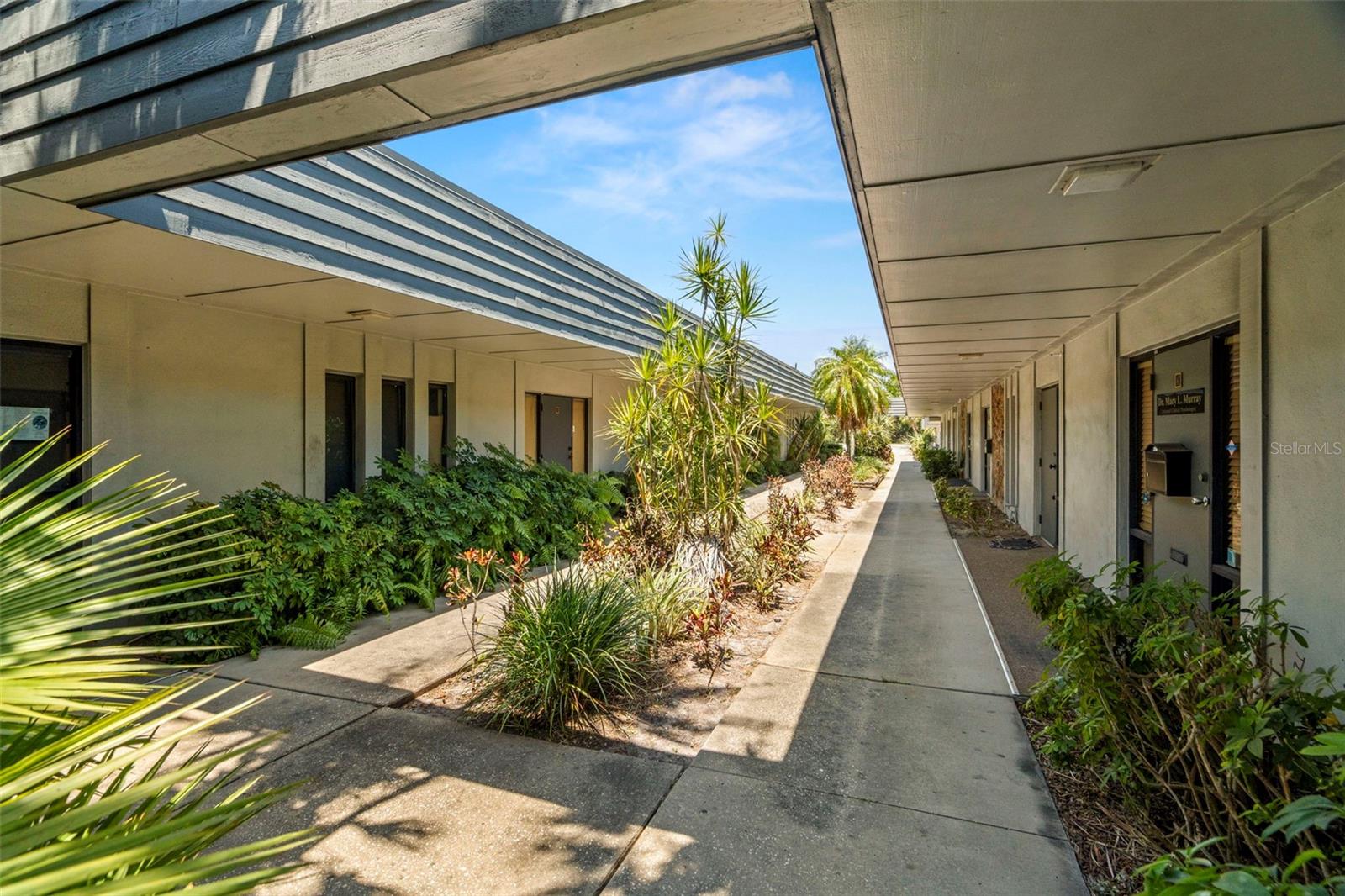 UNIVERSITY PROFESSIONAL - Commercial Sale