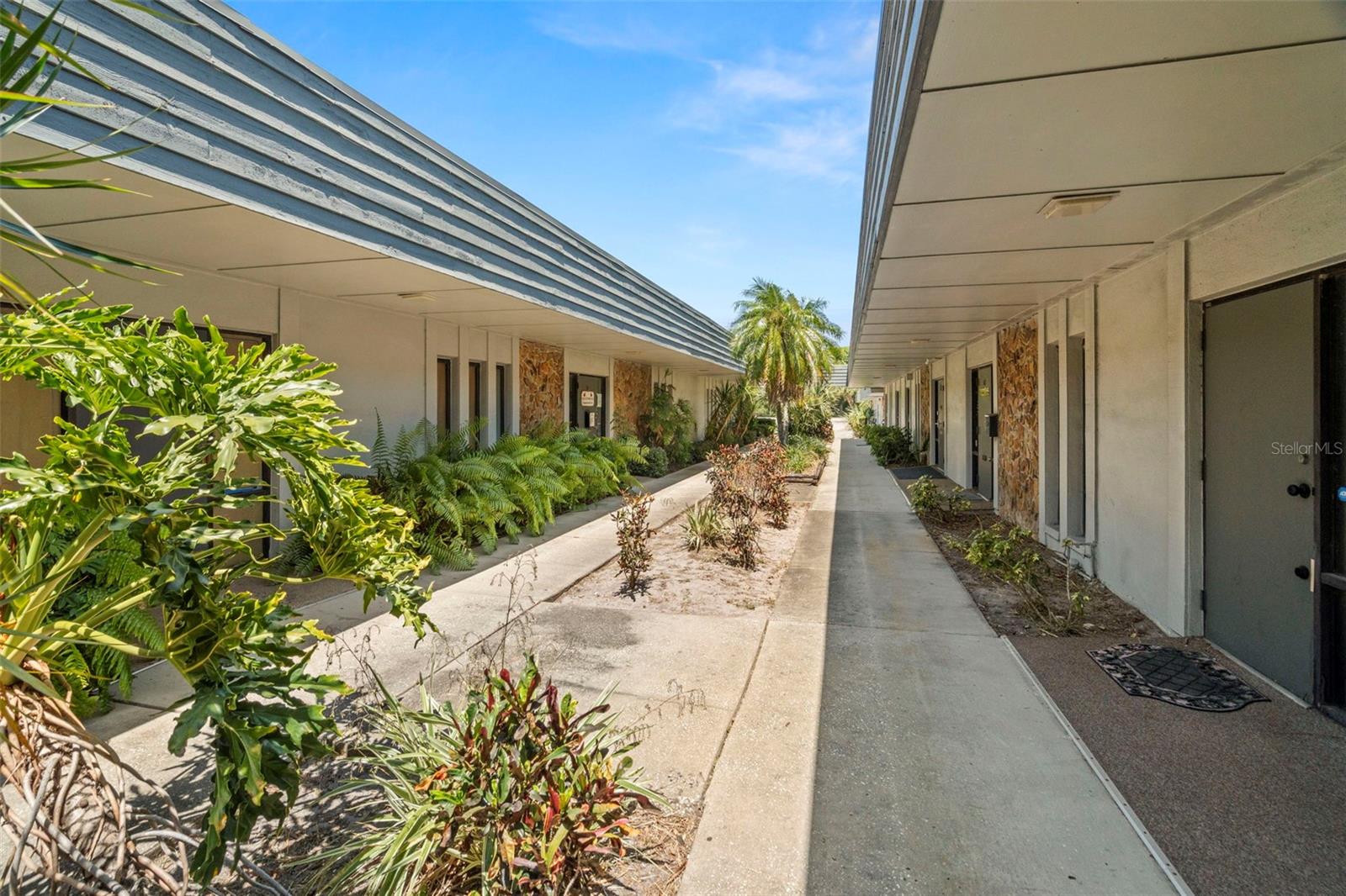 UNIVERSITY PROFESSIONAL - Commercial Sale