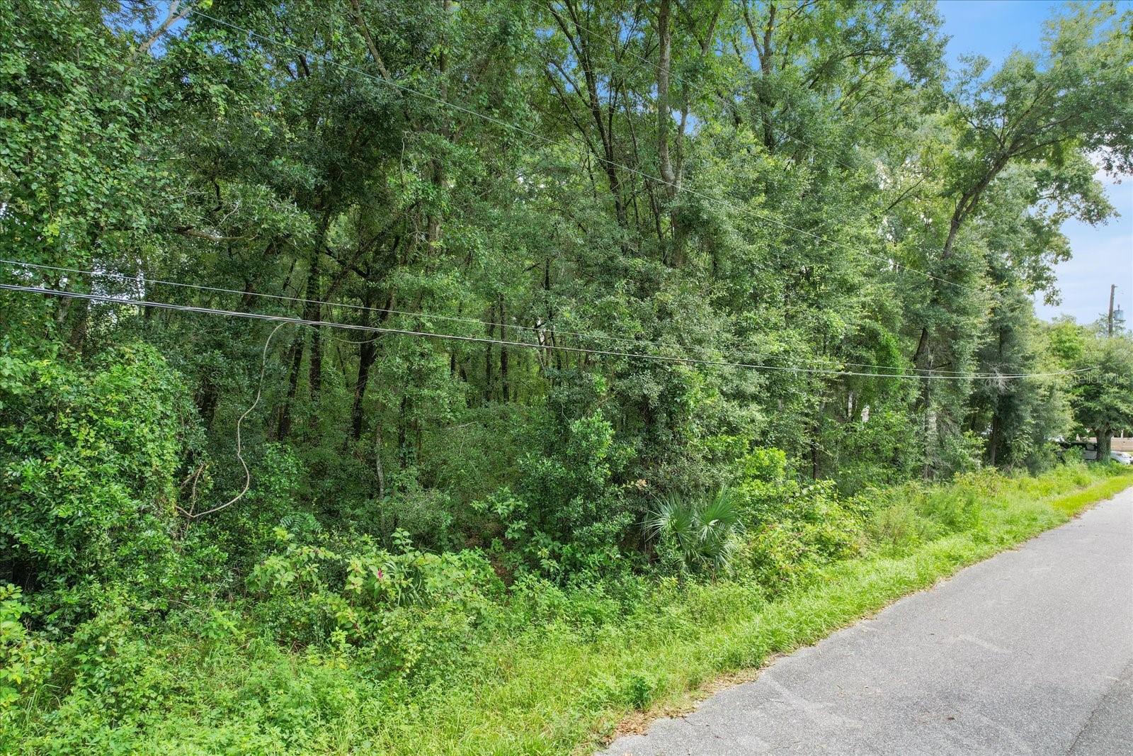 5347 E MUZZLE LOADERS COURT