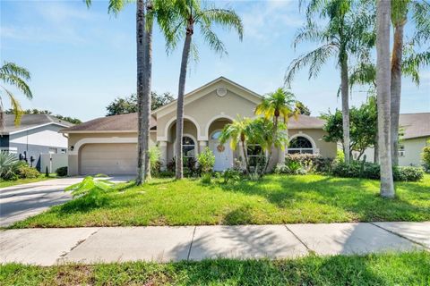 A home in VALRICO