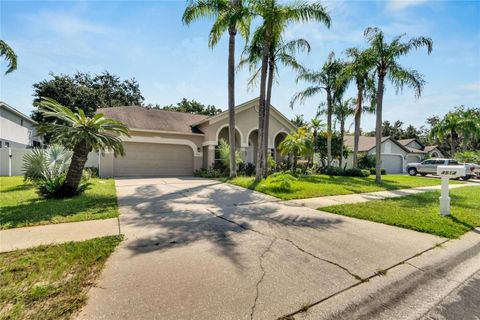 A home in VALRICO