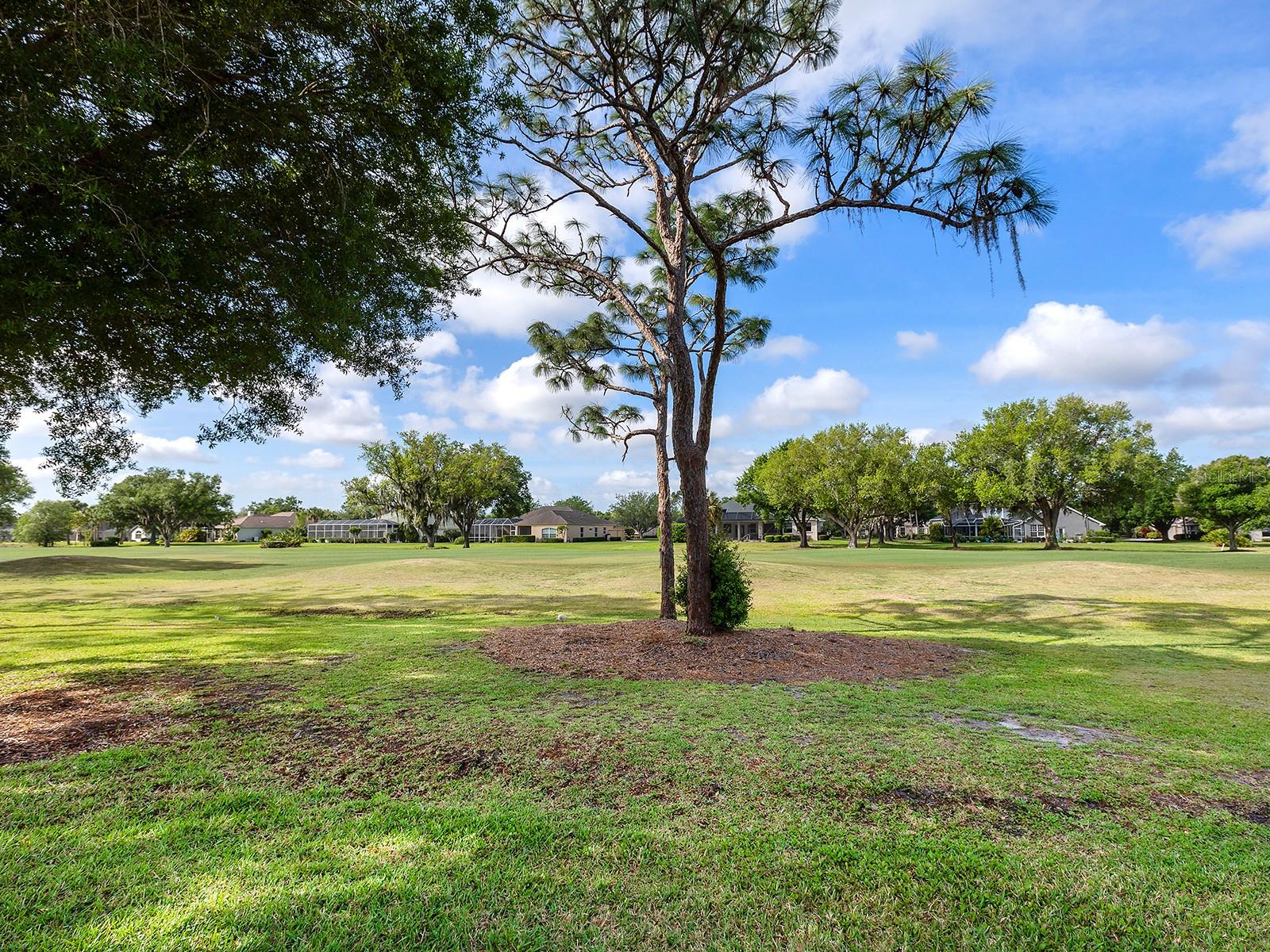 RIVER CLUB SOUTH SUBPHASE II - Residential