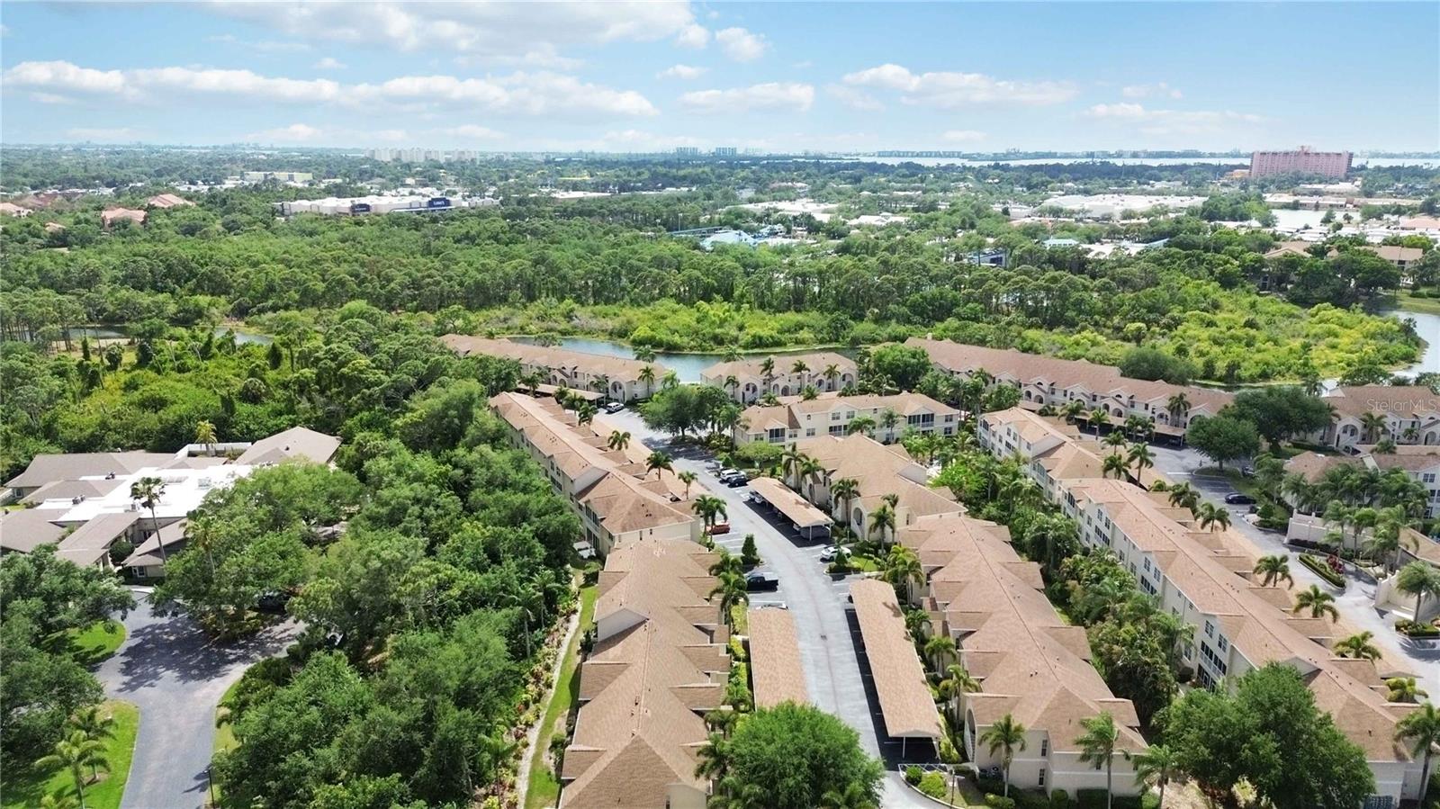 PINESTONE AT PALMER RANCH - Residential