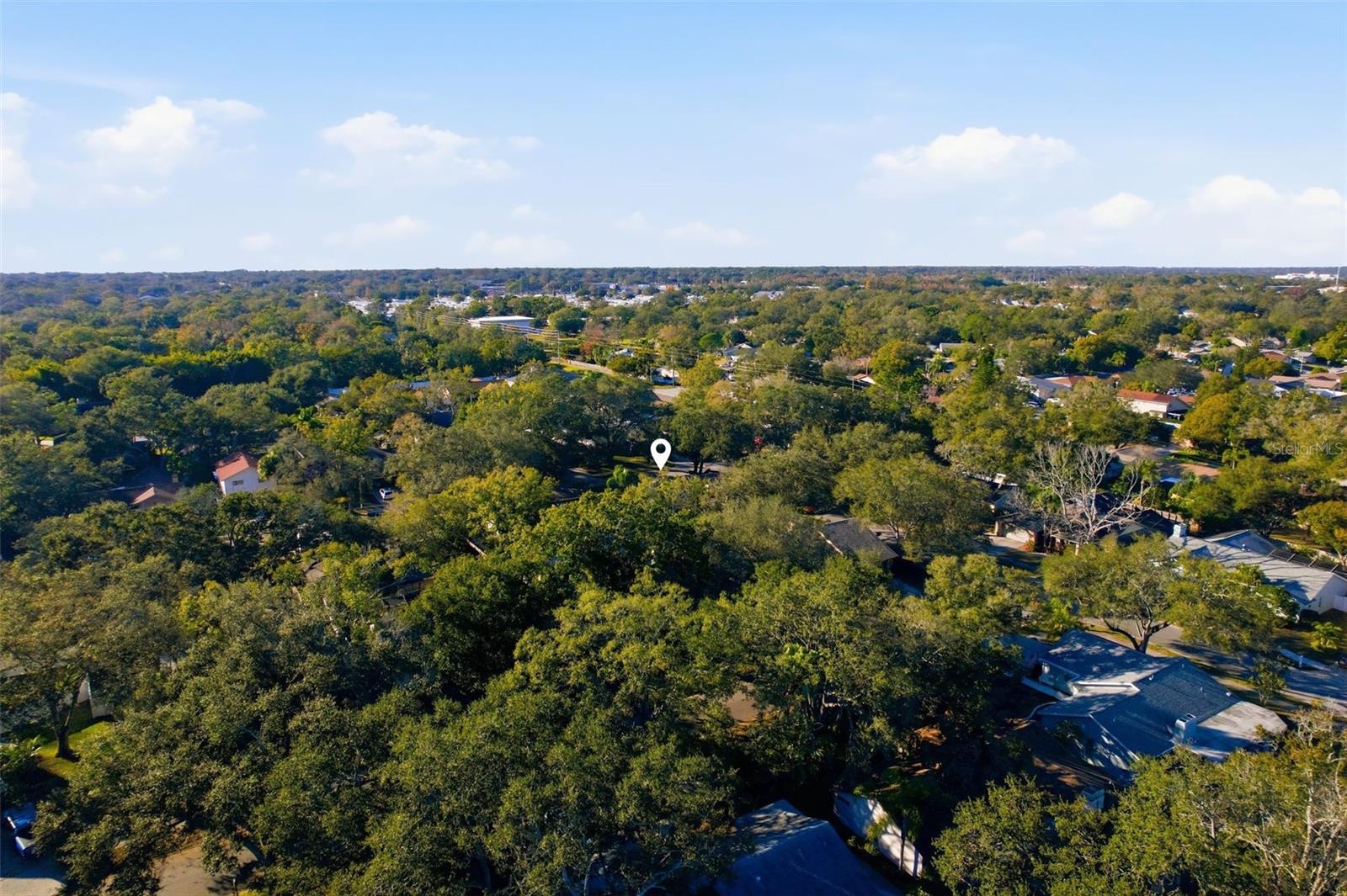 NORTH BAY HILLS OF SAFETY HARBOR - Residential