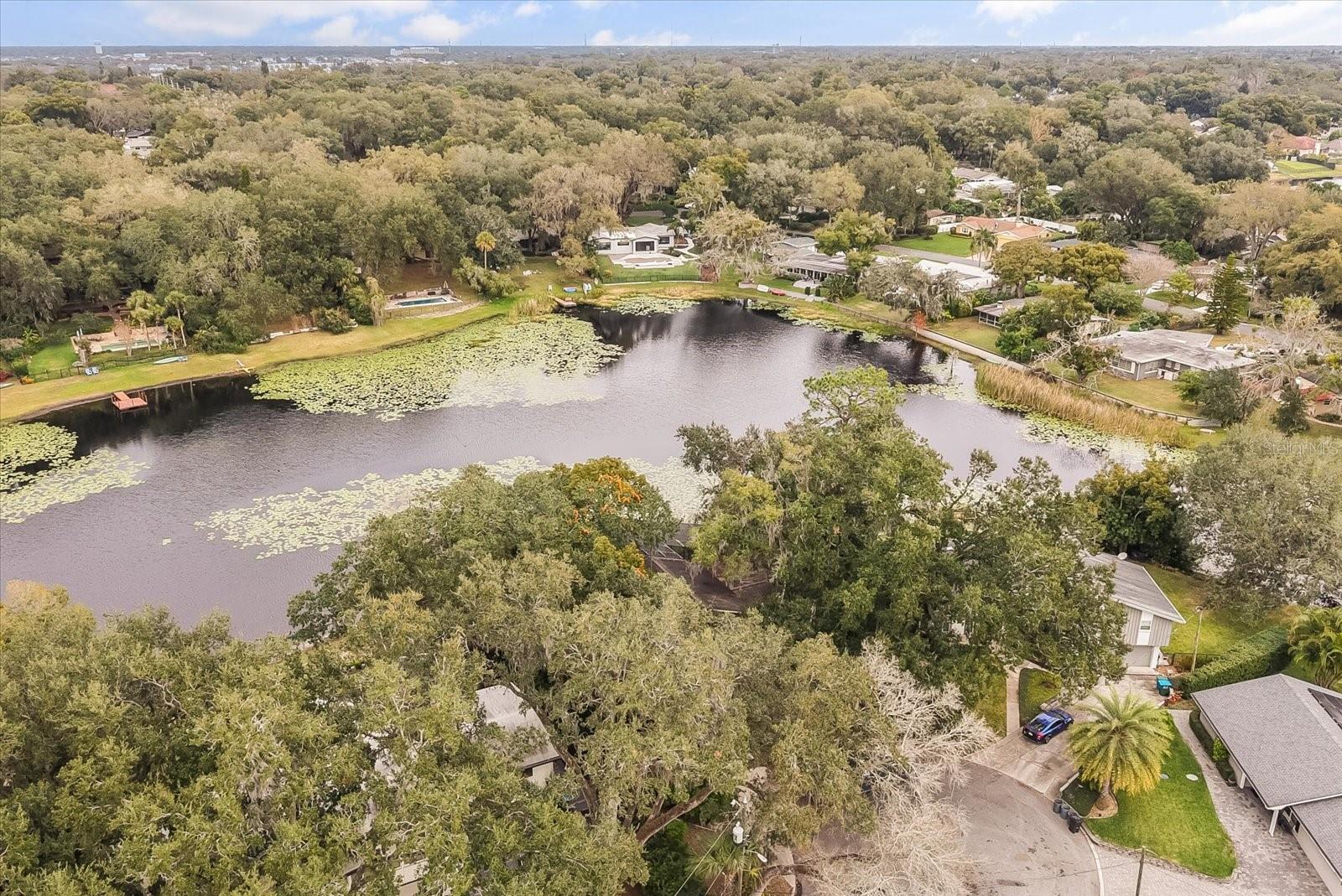 DRUID ISLE - Residential