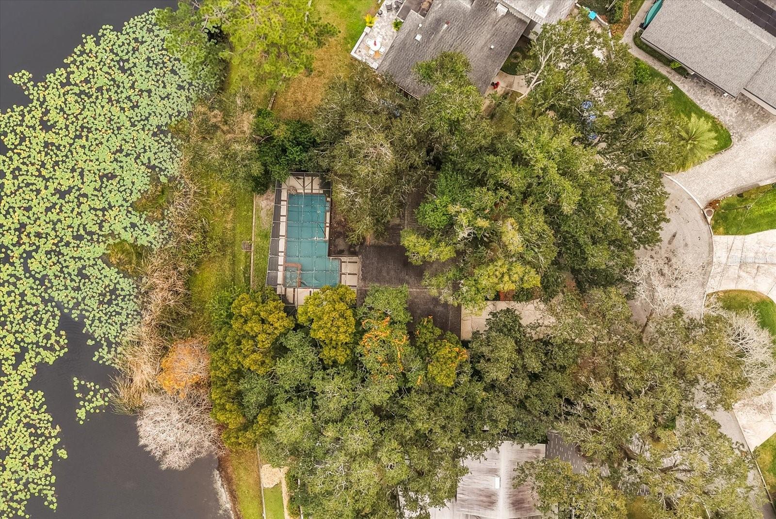 DRUID ISLE - Residential