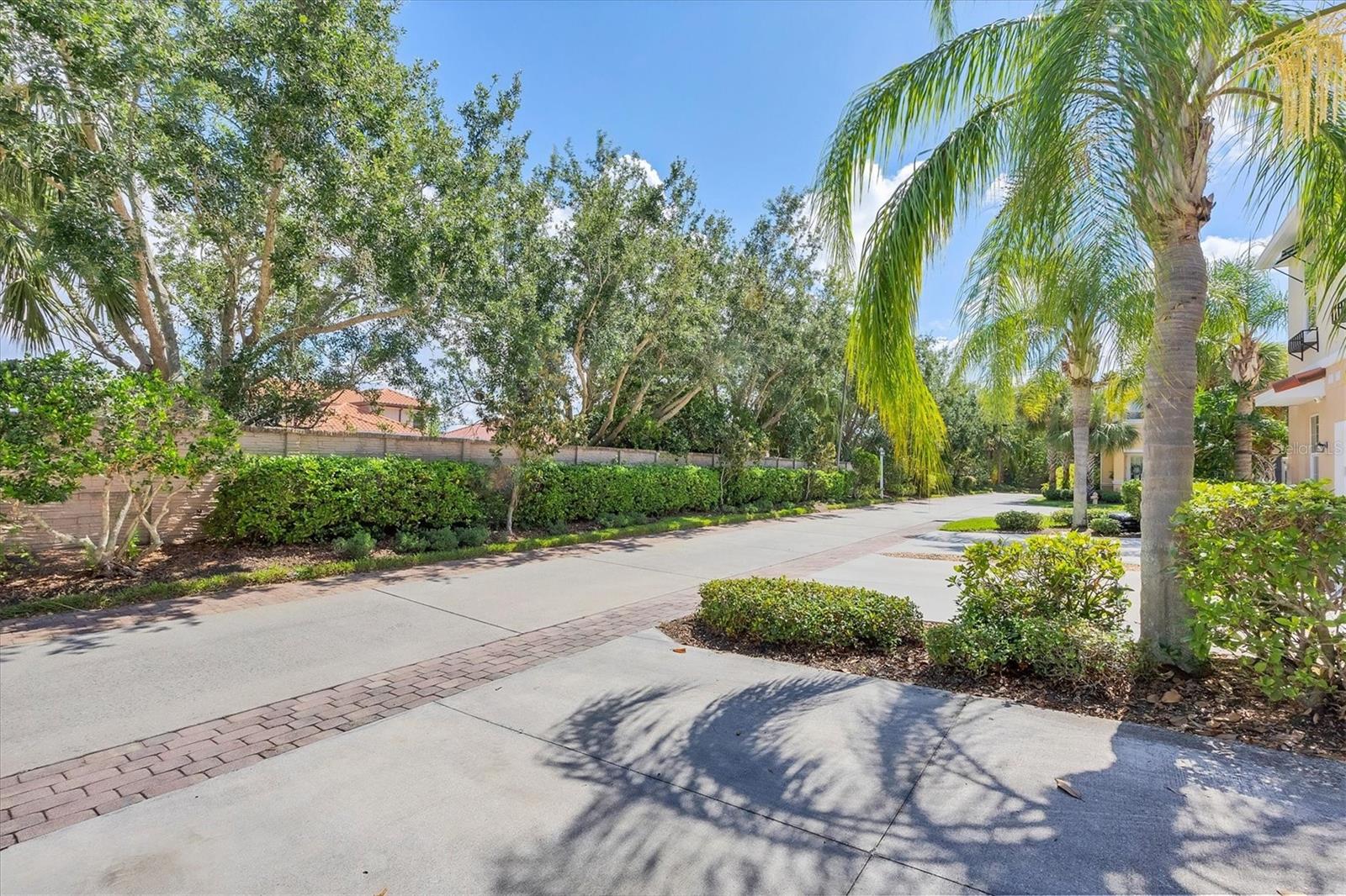 SAN MICHELE AT UNIVERSITY COMMONS - Residential