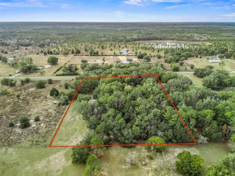 Tiny photo for 2351 SE 114th Avenue, Morriston, FL 32668 (MLS # G5108688)