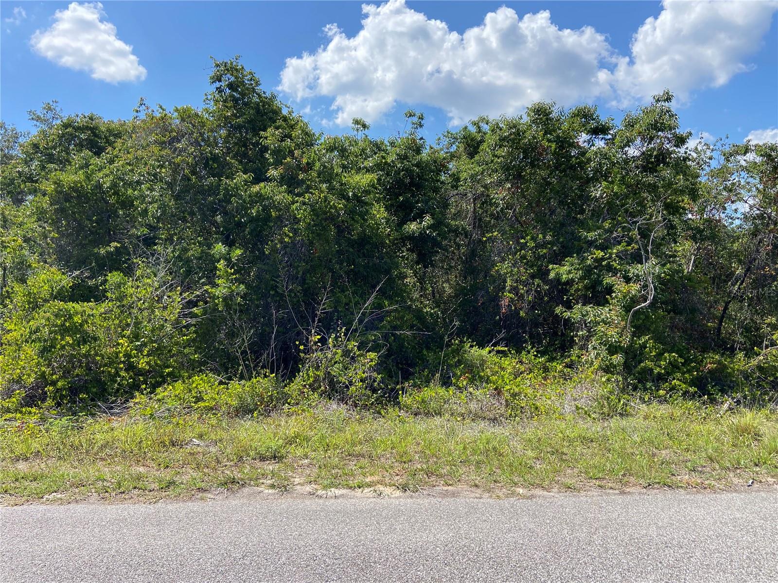 Nice-sized lot in the heart of the growing city of North Port. NOT in a flood zone! Close to boating, fishing, shopping, beaches, restaurants, schools, public boat ramps and area attractions.