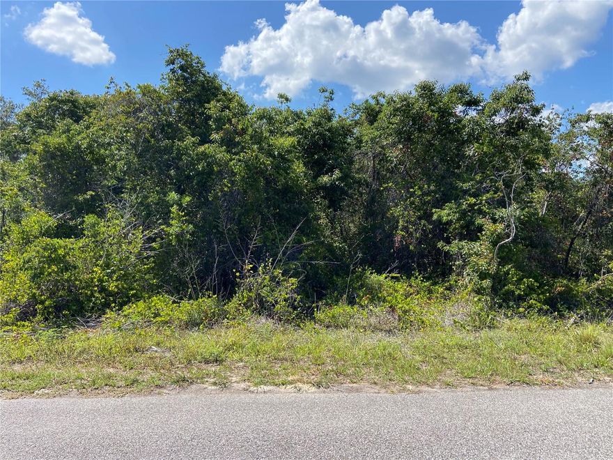 Nice-sized lot in the heart of the growing city of North Port.  NOT in a flood zone!  Close to boating, fishing, shopping, beaches, restaurants, schools, public boat ramps and area attractions.