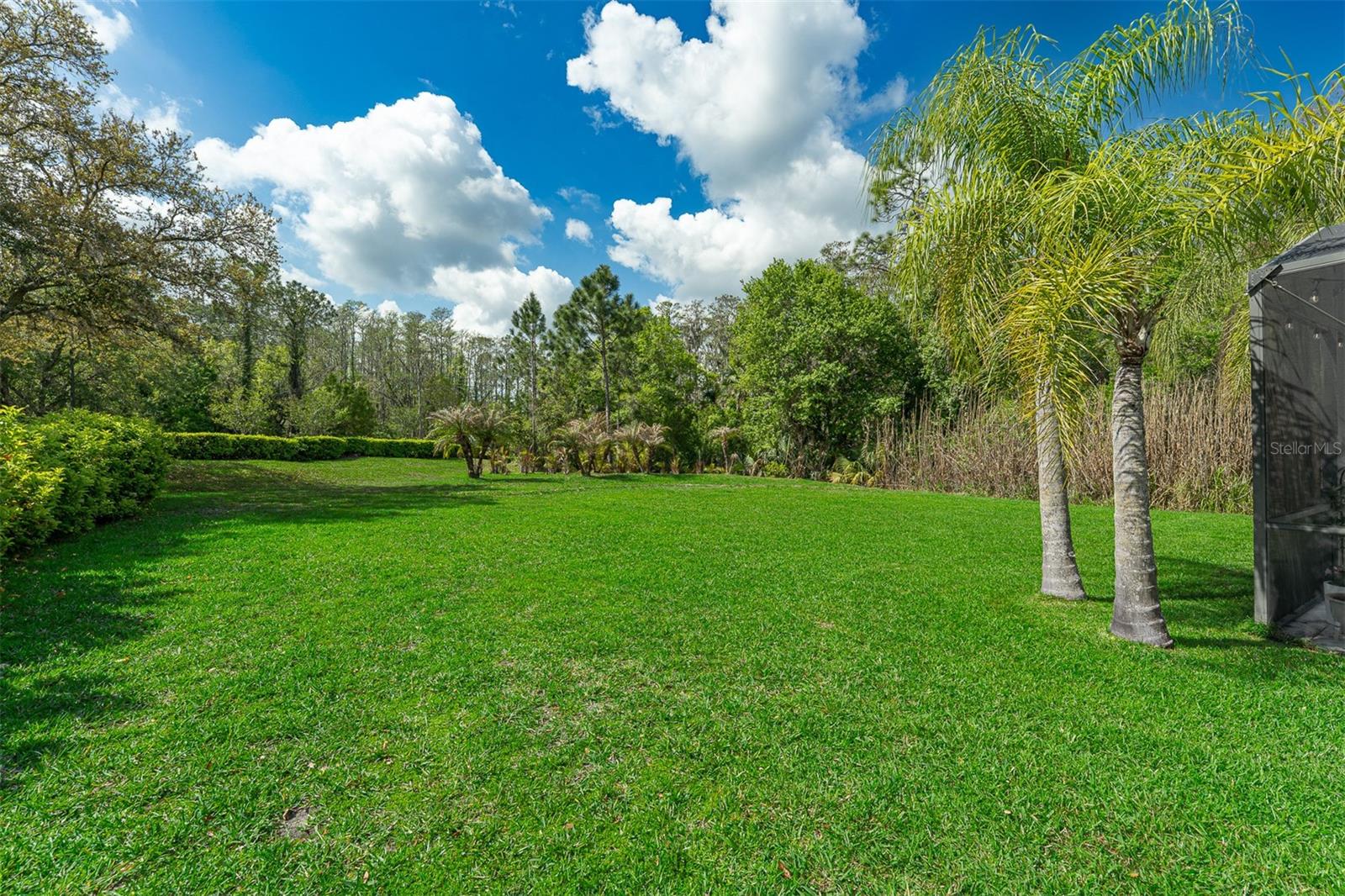 STONEYBROOK - Residential