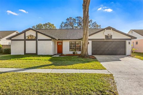 A home in VALRICO