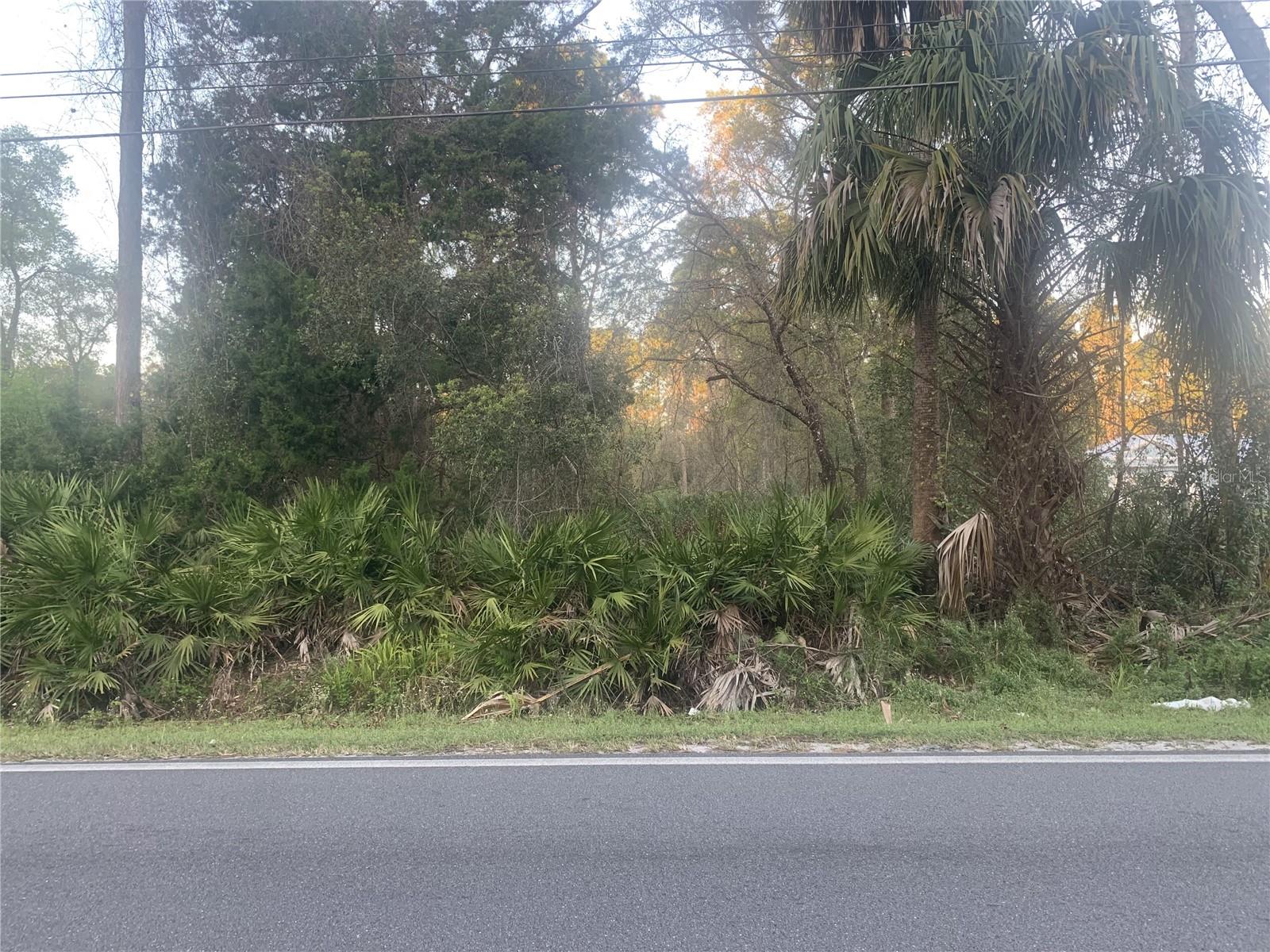 S VOLUSIA AVENUE