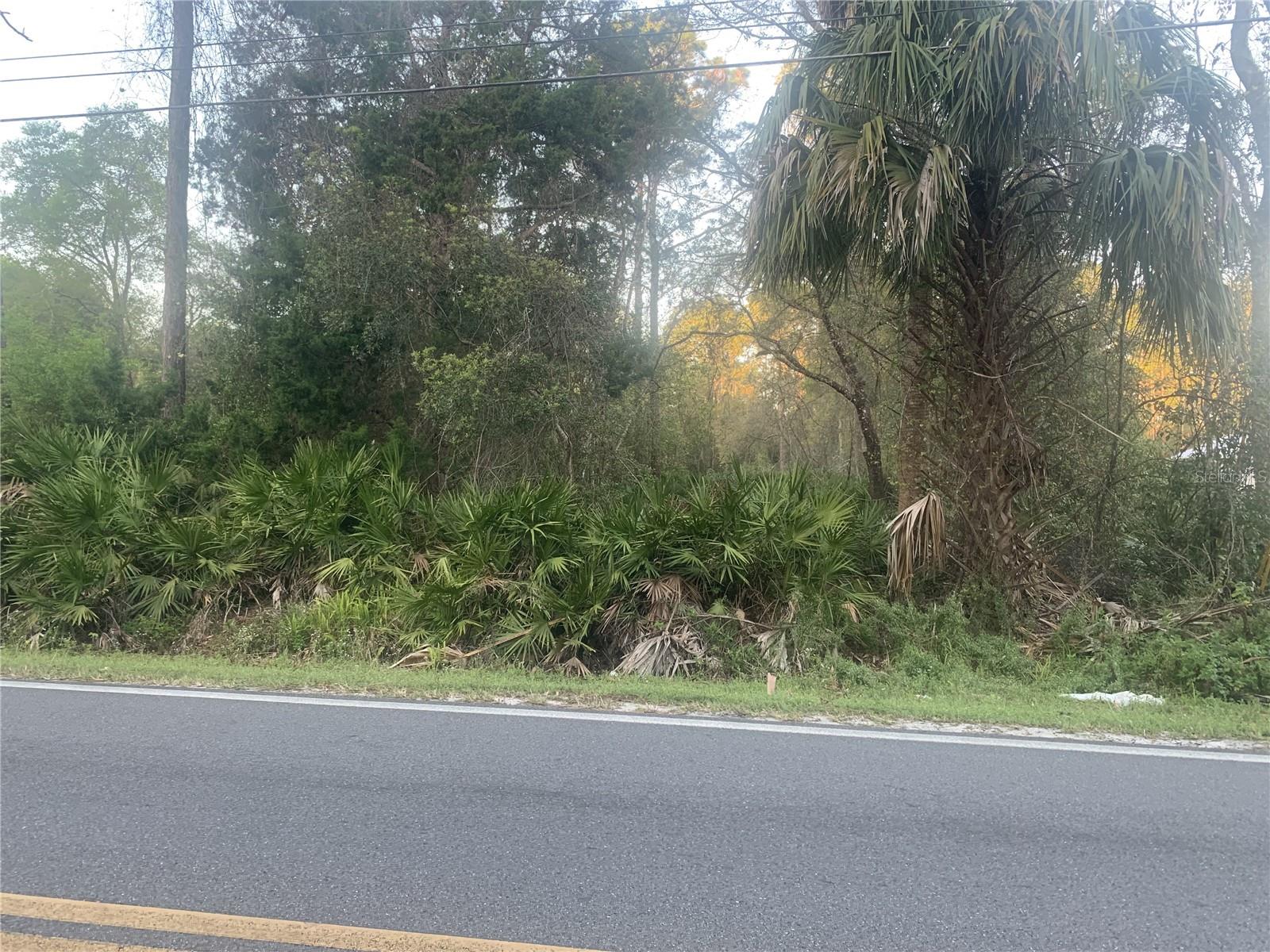 S VOLUSIA AVENUE