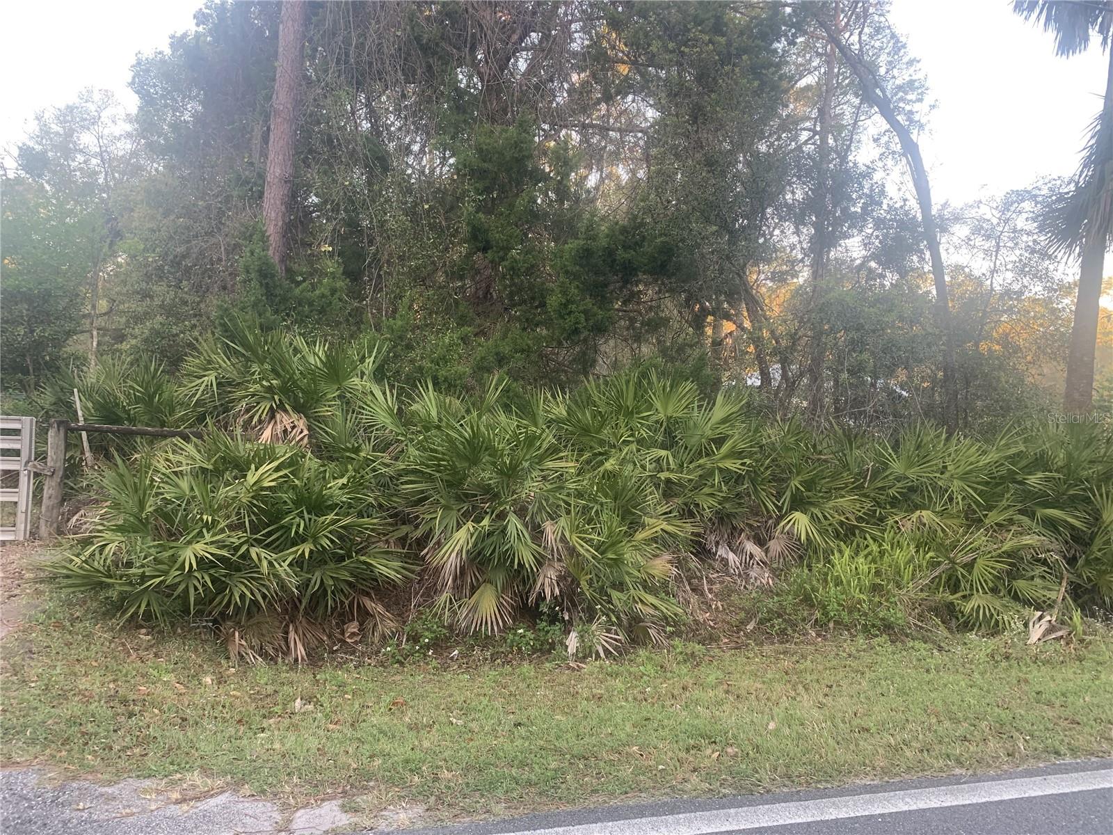S VOLUSIA AVENUE