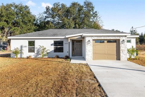 Photo of 13879 SW 101st Street, Dunnellon, FL 34432 (MLS # OM710228)