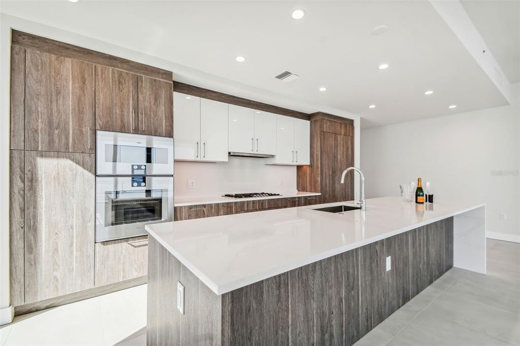 HYDE PARK HOUSE - Residential