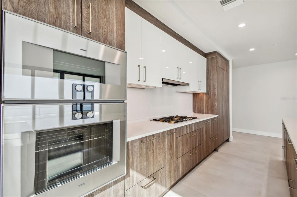 HYDE PARK HOUSE - Residential