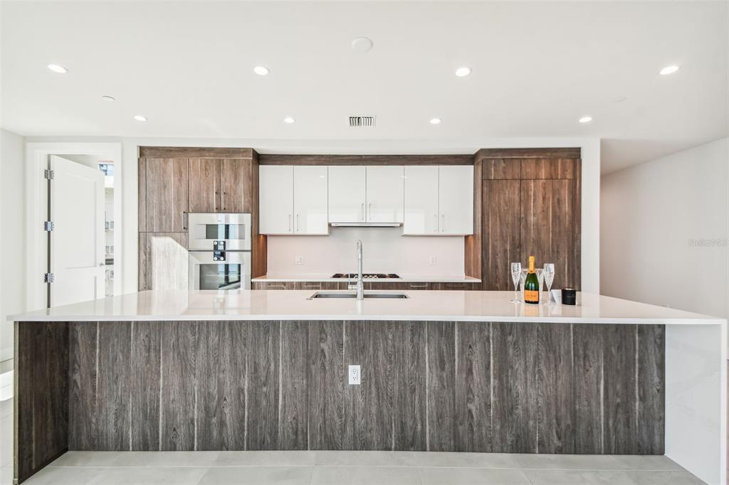 HYDE PARK HOUSE - Residential