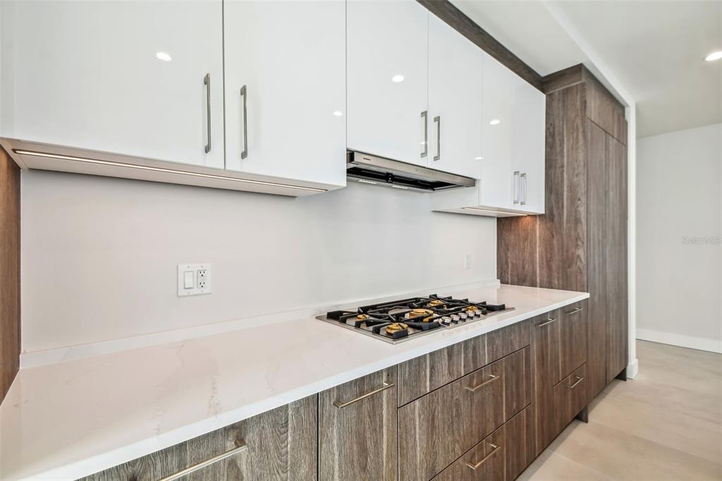 HYDE PARK HOUSE - Residential