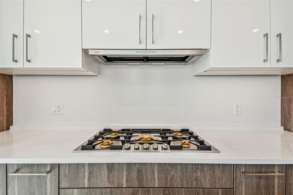 HYDE PARK HOUSE - Residential