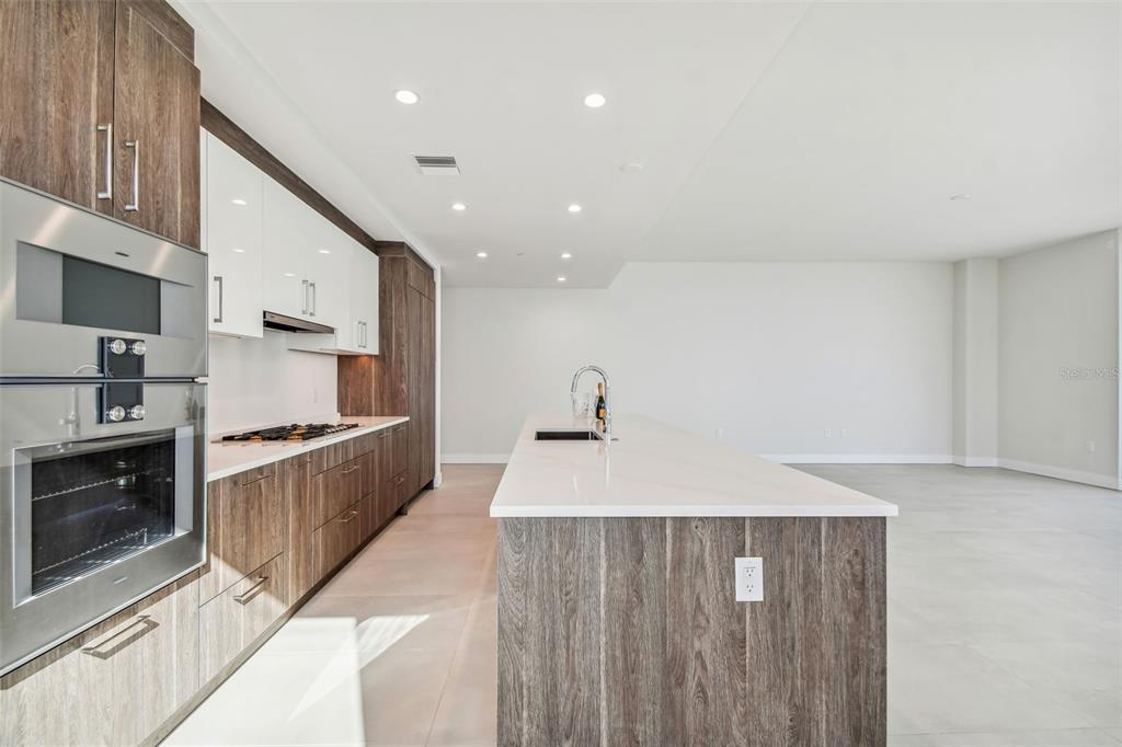HYDE PARK HOUSE - Residential