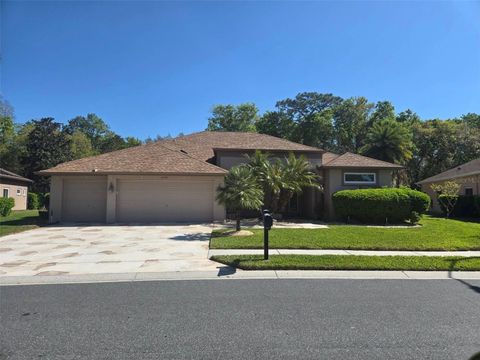 Photo of 21154 Tangor Road, Land O Lakes, FL 34637 (MLS # TB8491405)