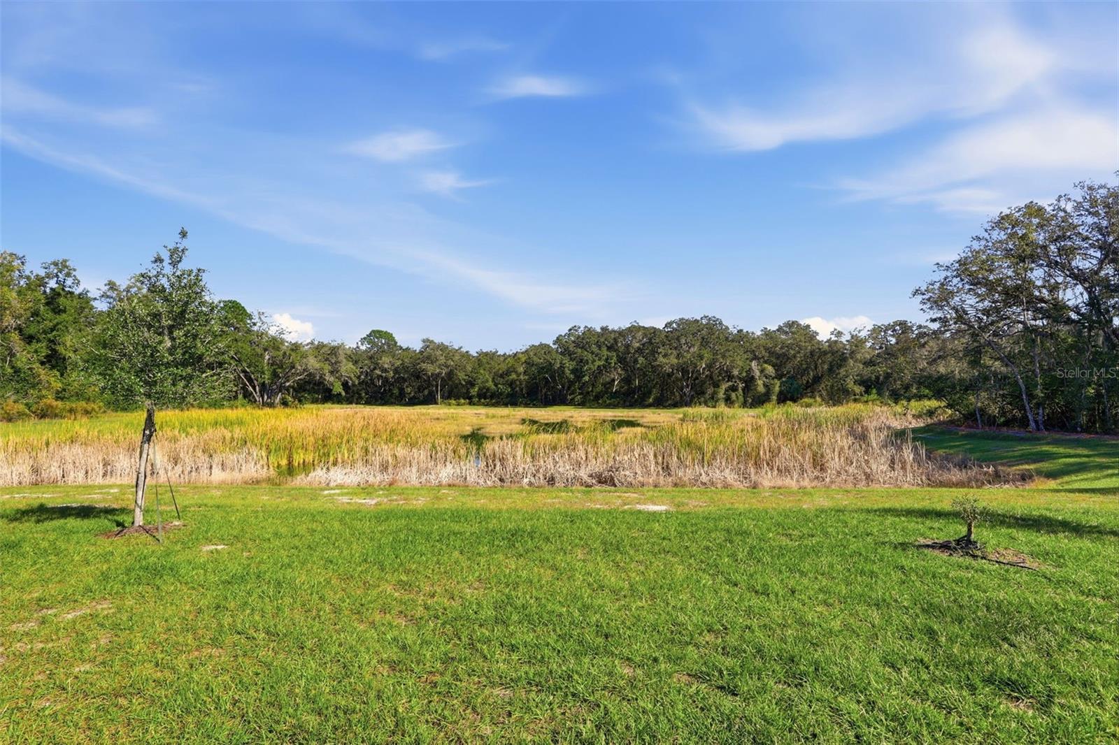 LAKEWOOD PK PH 3 - Residential