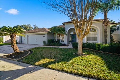 4406 RIVER OVERLOOK DRIVE VALRICO FL 33596