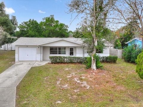 Photo of 36 S Lucille Street, Beverly Hills, FL 34465 (MLS # A4674964)