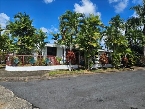 CALLE D EL VERDE SUR B-1 CAGUAS  00725
