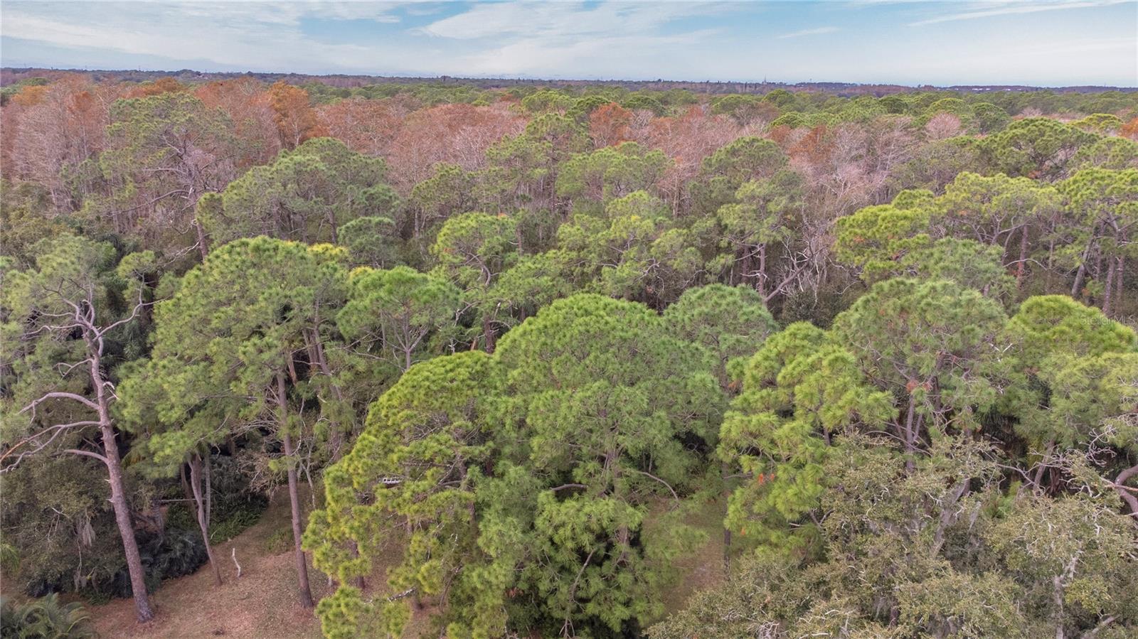 ANCHORAGE OF TARPON LAKE UNIT THREE THE - Residential