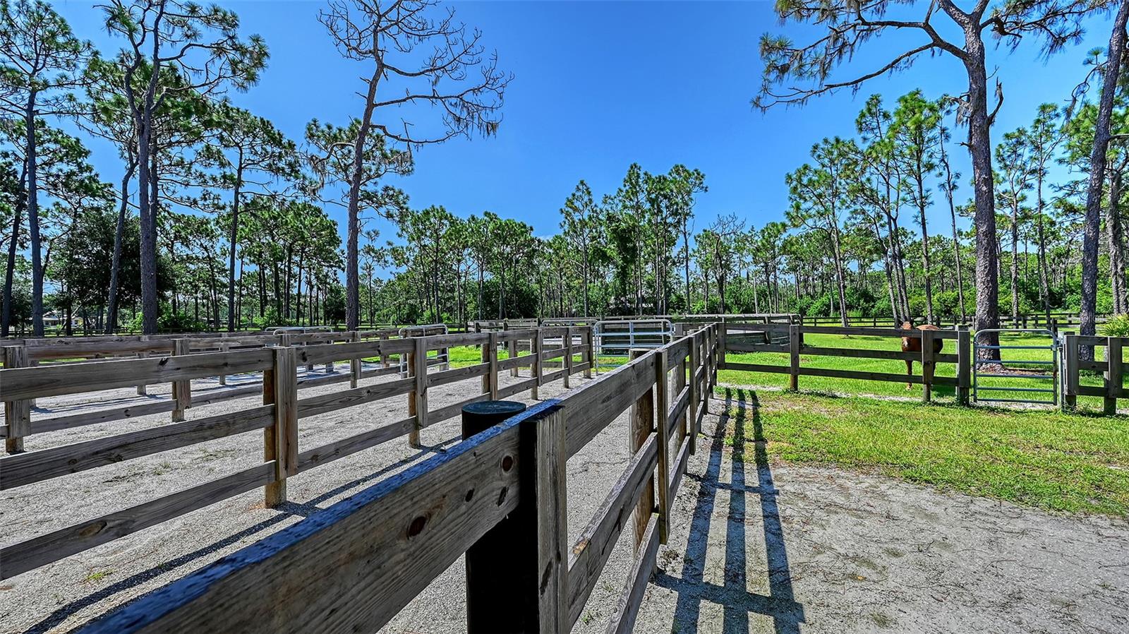 PANTHER RIDGE THE TRAILS II - Residential