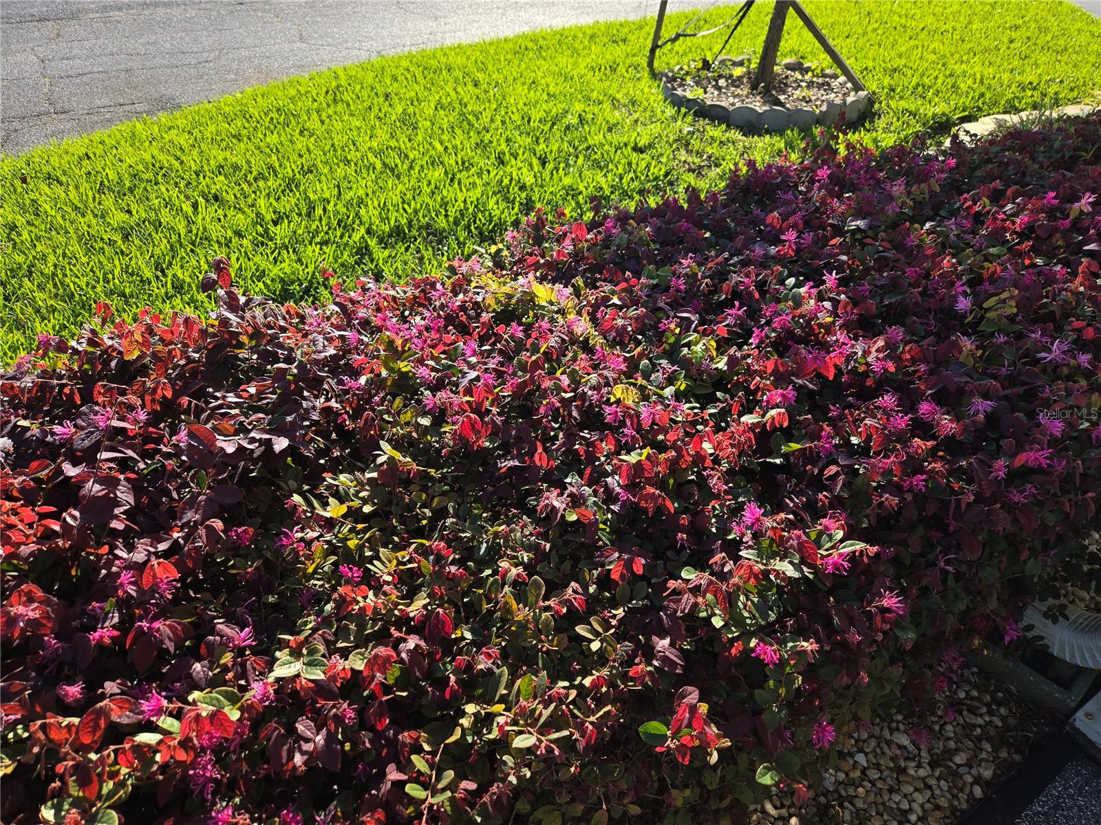 SWEETWATER GOLF AND TENNIS CLUB - Residential