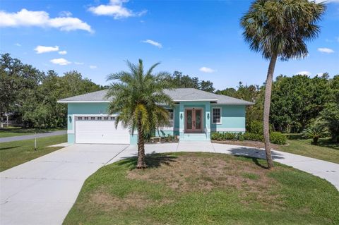 4529 S SAWGRASS CIRCLE HOMOSASSA FL 34448